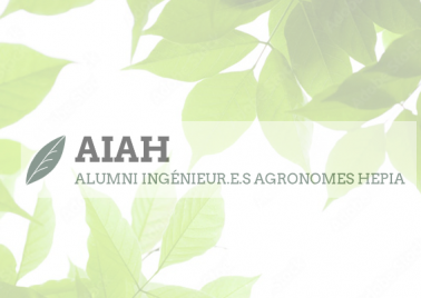 Colloque AIAH 2024
